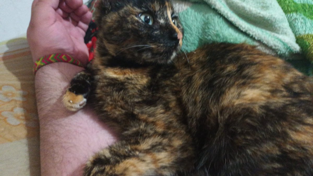 Alejandro Lopez 🐰🌸/🐟💥/ 🐻‍❄️✨/ 🥐✨/ 🌱/ 🔥 / tweet media