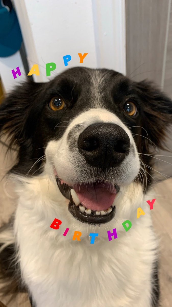 Happy 7th birthday to the best! 🫶🏼