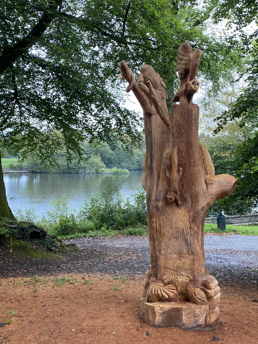 Owen Staton tweet media