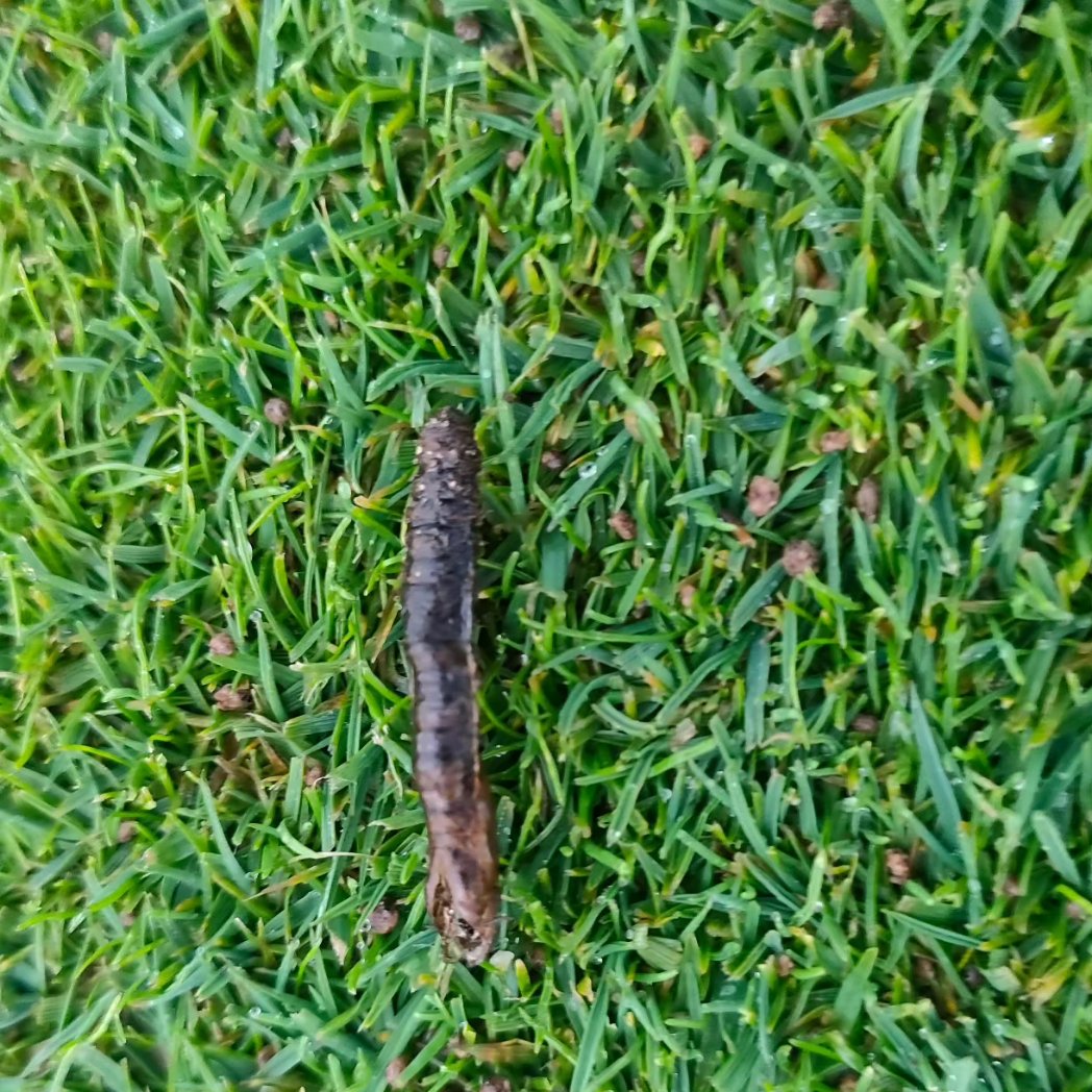 Newquay Golf Club tweet media