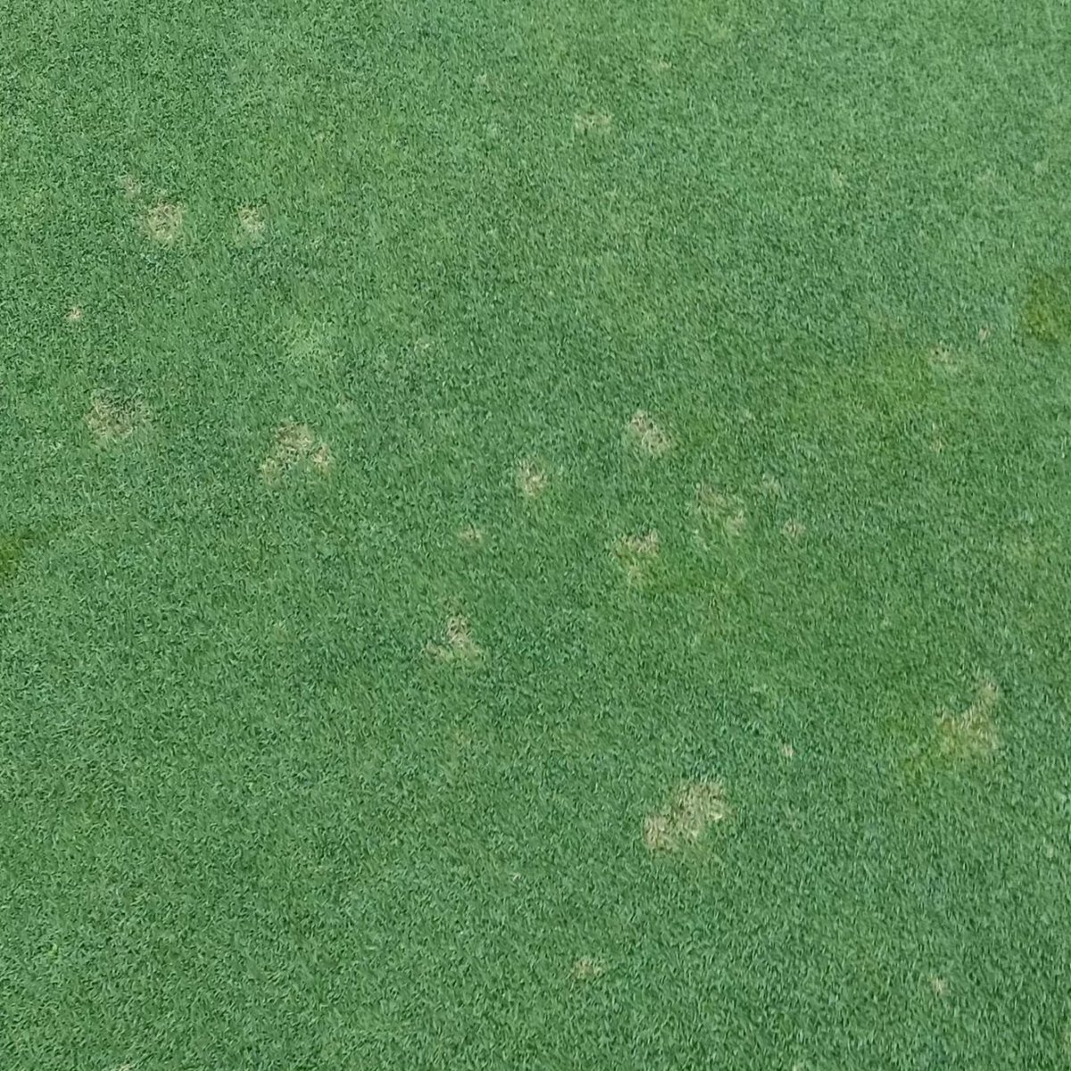 Newquay Golf Club tweet media