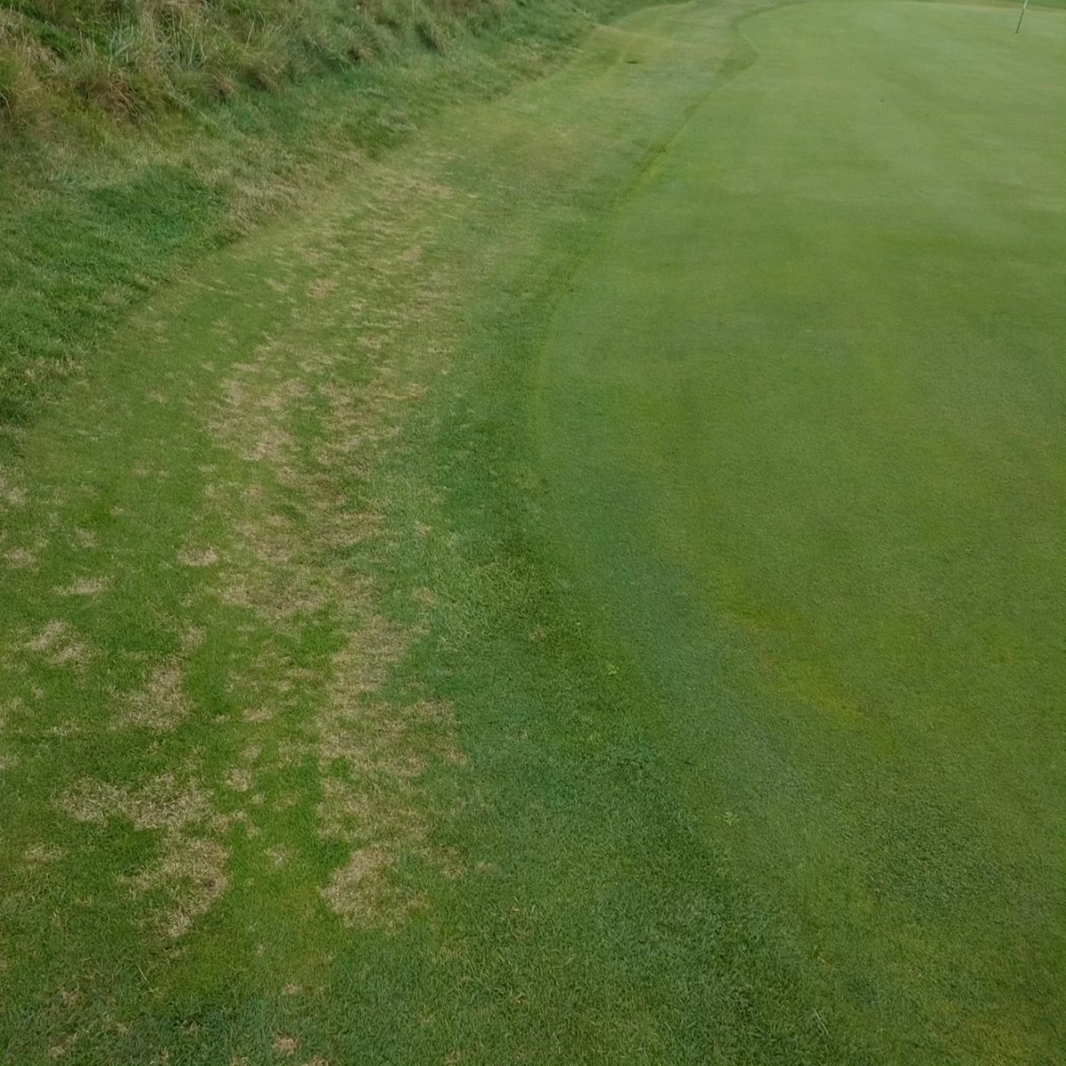 Newquay Golf Club tweet media