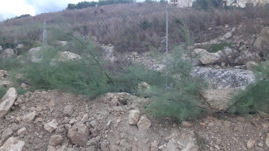 Here at TAPP Water in Malta we take action on sustainability.
Every year we offset CO2 emissions for our business in Malta, plus those of our customers use of TAPP Water products.
Here our the 2022 Trees growing well in Salini Reserve thanks to Grow10Trees in Malta.