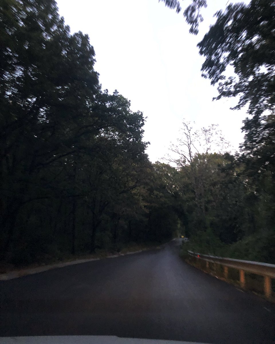 semayserbest's tweet image. #shotoniphone #onmycamera #quicktravel #nofilter