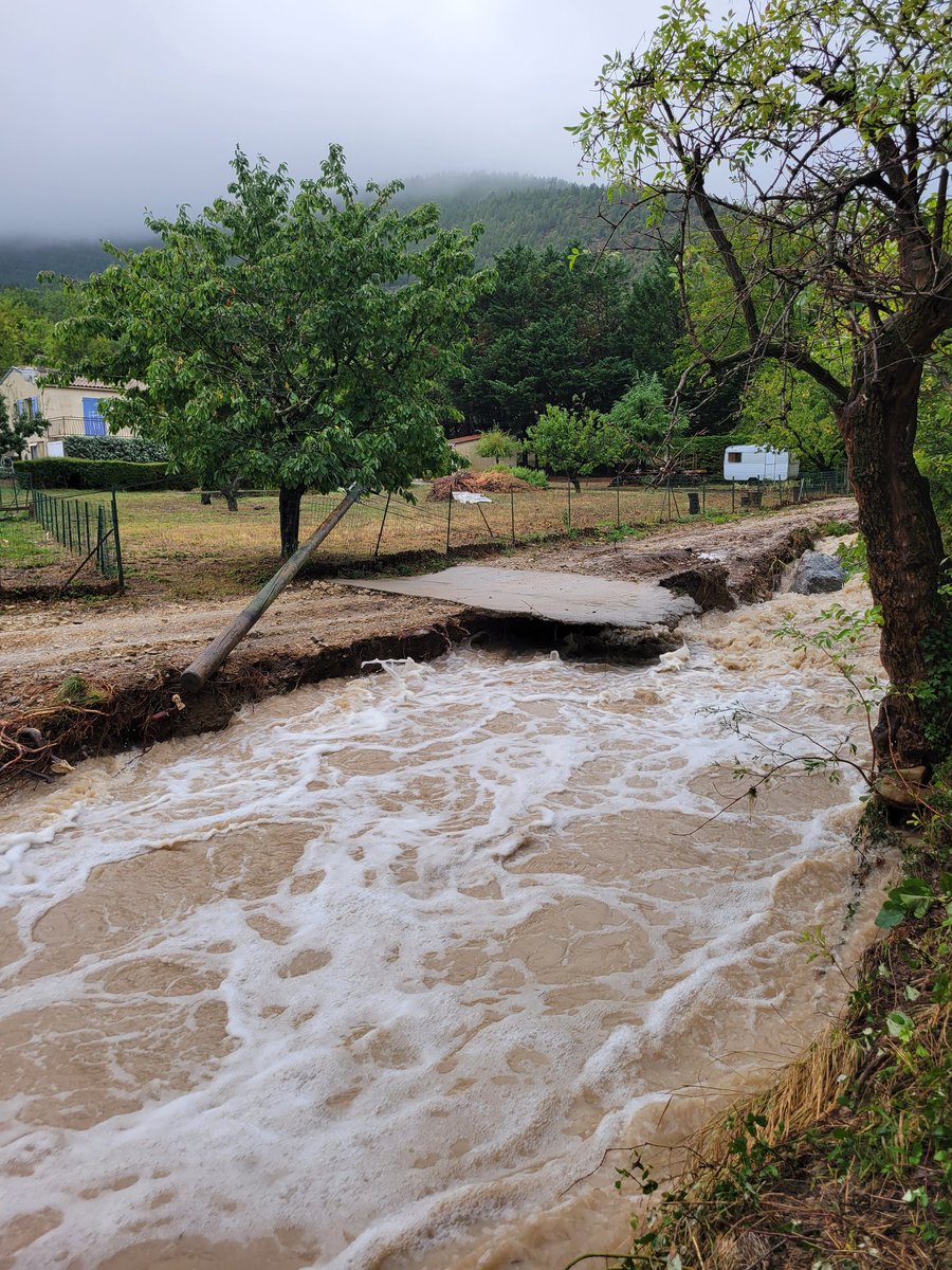 Jé nova tweet media