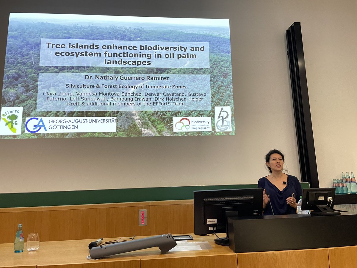 SiPetrocelli's tweet photo. Amazing talk of @NathalyR_GR on how tree islands increase biodiversity and production #Gfoe2023 https://t.co/nl2C3PAHm1