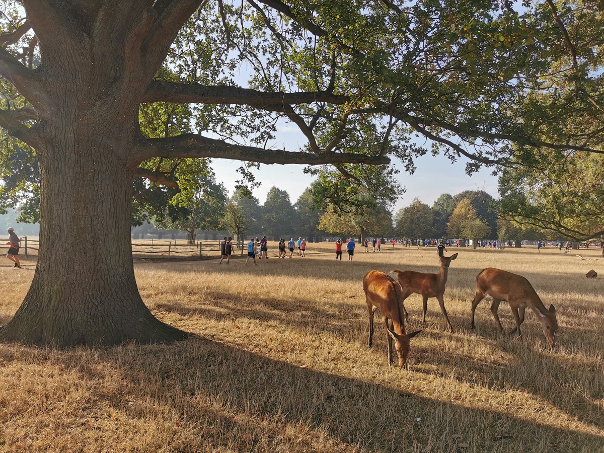 Filip Gertz Lysdal tweet media