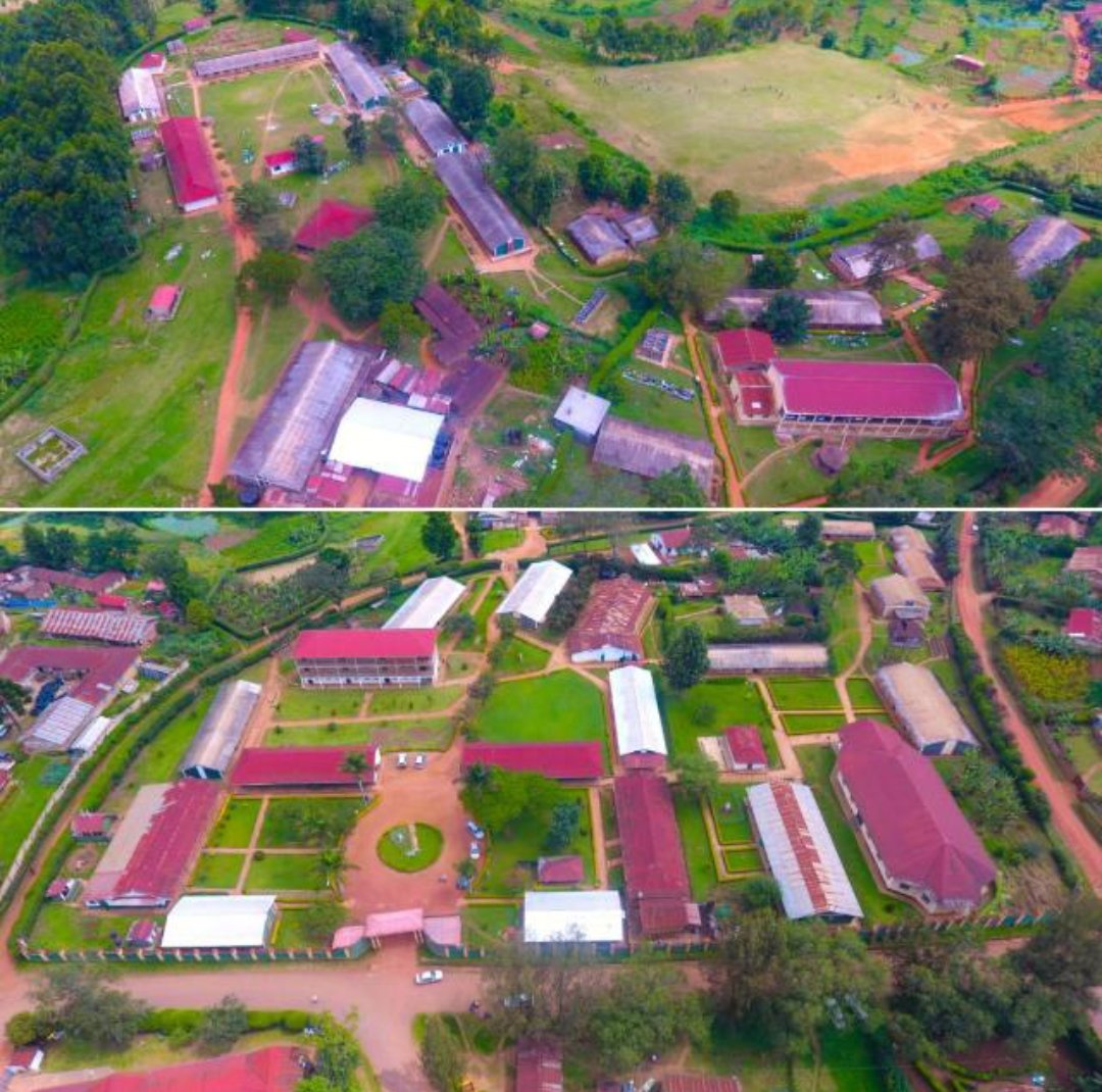 Julius Mucunguzi (@j_mucunguzi) on Twitter photo #KigeziHSAt100: when I first entered through these gates of <a href="/kigezihigh/">Kigezi High School</a> School in March 1991, I had come to ask for a place in senior three, but the headmaster, looking at my school report from Jinja SS, said I could only join the school by repeating senior two, because I was #KigeziHSAt100: when I first entered through these gates of <a href="/kigezihigh/">Kigezi High School</a> School in March 1991, I had come to ask for a place in senior three, but the headmaster, looking at my school report from Jinja SS, said I could only join the school by repeating senior two, because I was