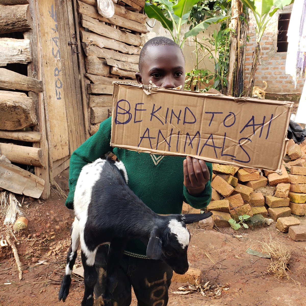 KyivU63025's tweet photo. Be kind to all animals Uganda 🇺🇬 #veganism #veganblogger #veganfoodlovers #vegancommunity #veganhelp #Vegan https://t.co/G5Pbd9ZdB4