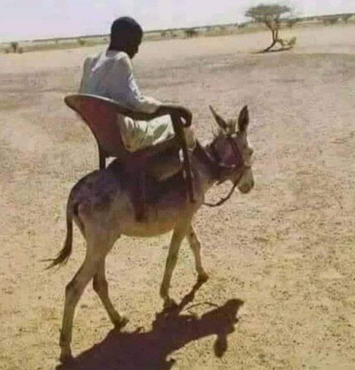 كرسي علي مطي افضل من مطي على كرسي والمطايا اللي عدنا ماشاءالله..