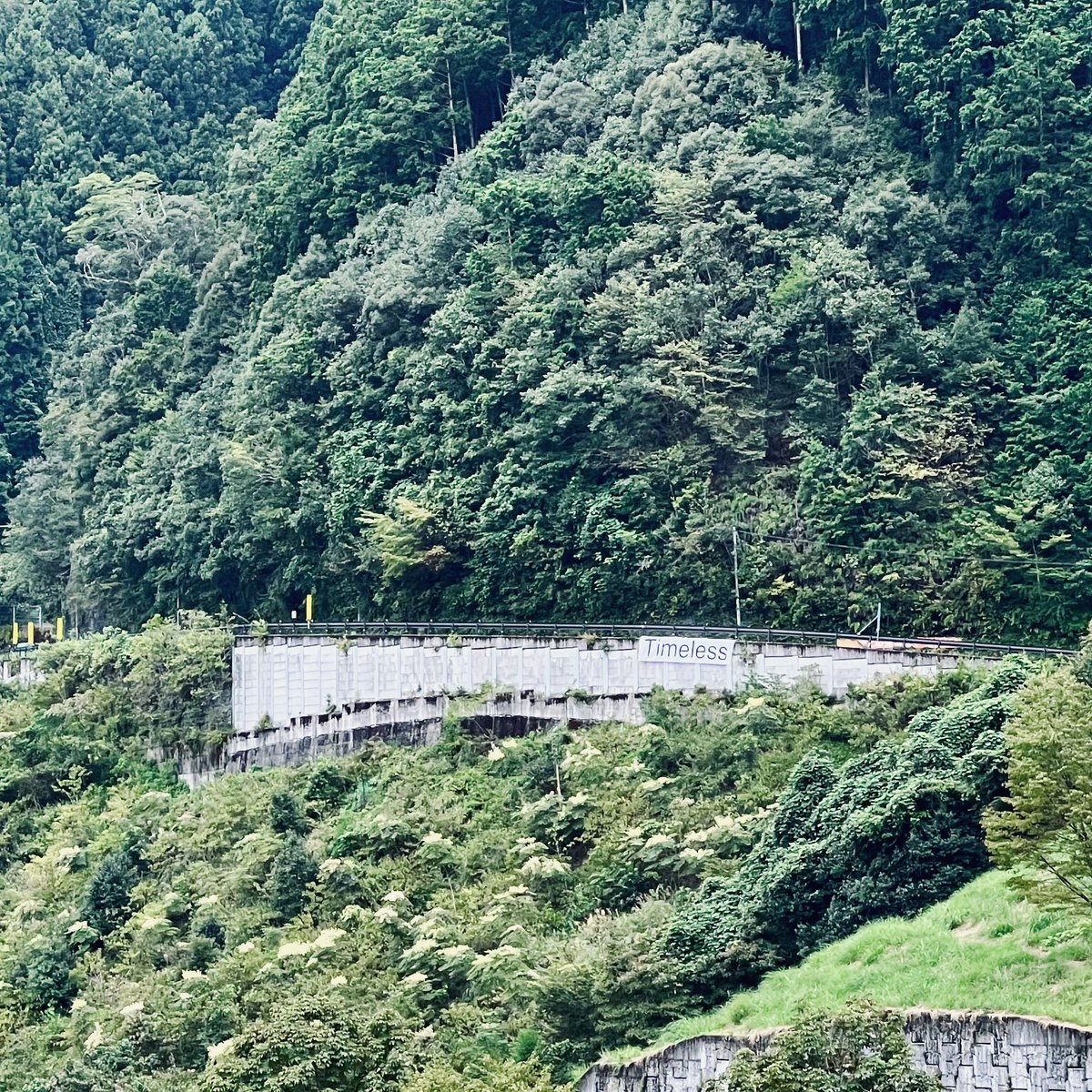 Discont@NEWVIEW&METAD tweet media