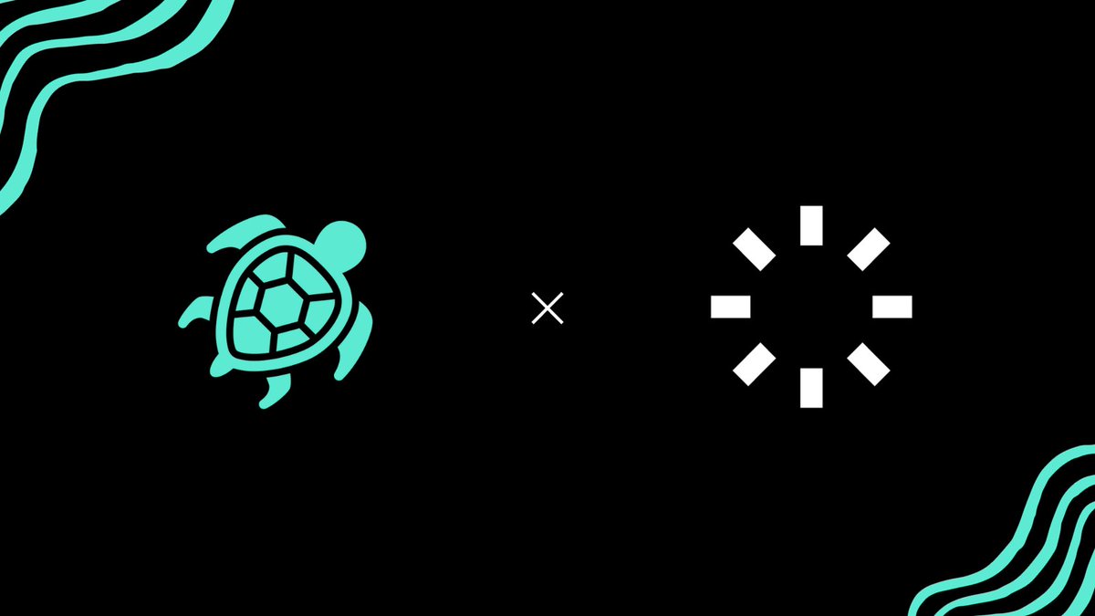 We are excited to launch <a href="/turtlefanHQ/">turtle.fan</a> on <a href="/withsmoothie/">Smoothie</a> on Monday. 🗓️

Looking forward to see your love and support for 🐢 here : turtle.fan/smoothie

Stay tune for more infos! 👀