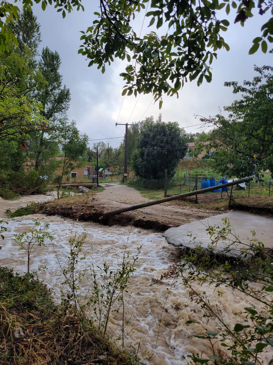 Jé nova tweet media