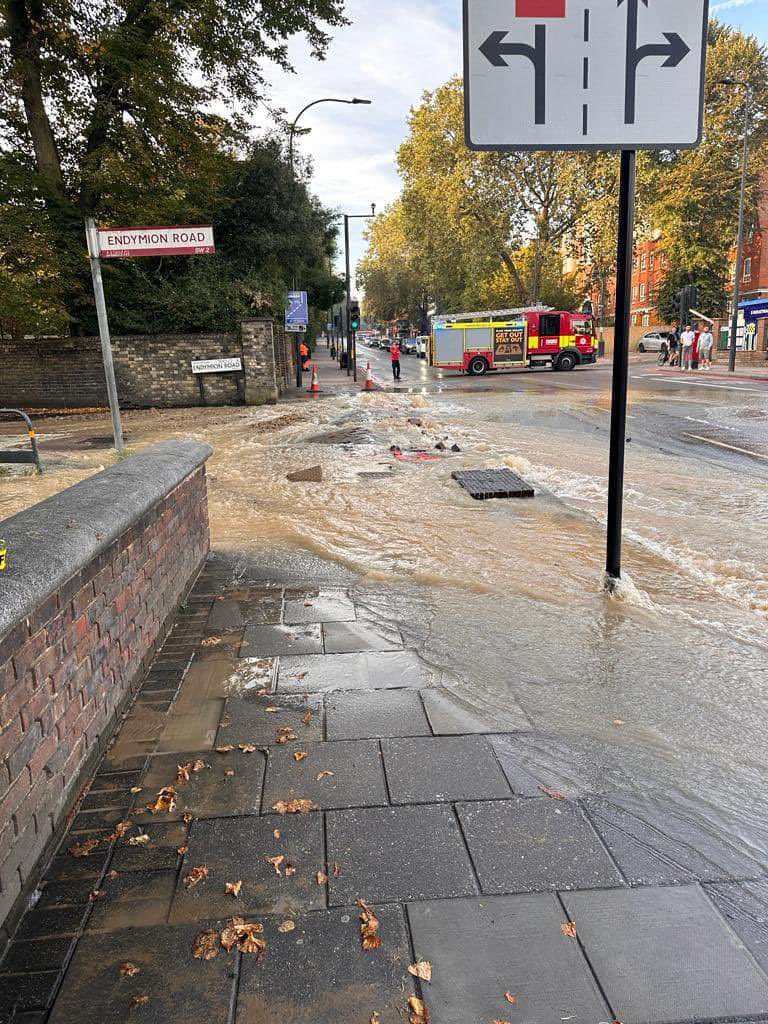 Olga FitzRoy tweet media