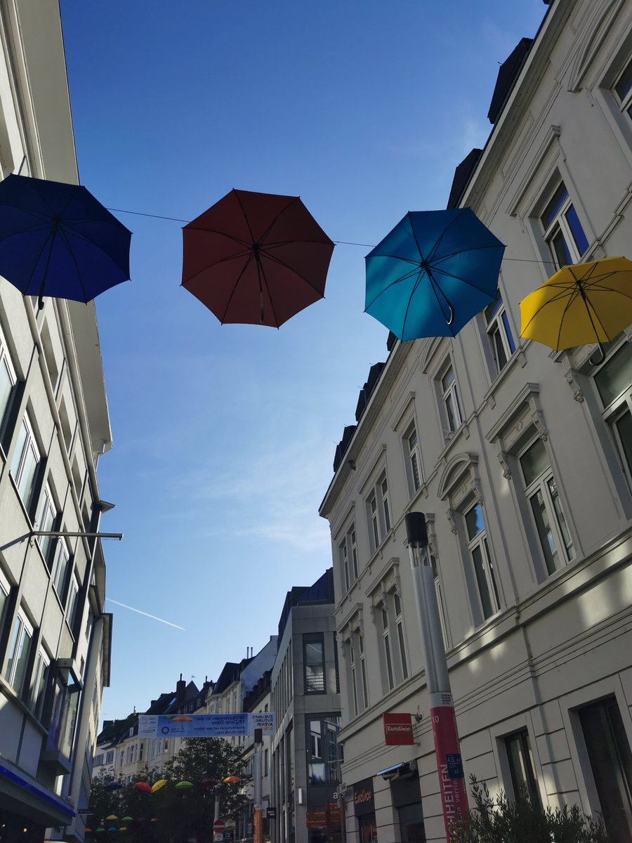 Theresa Leisgang tweet media