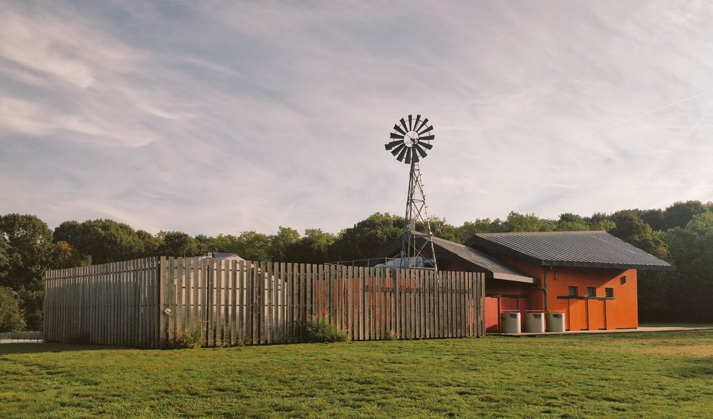 LamriRafic's tweet image. Aujourd'hui c'est matinée course d'orientation pour l'ensemble des 3e du @ClgGRouault @academie_paris au #parcdelacourneuve. Un cadre de travail idéal pour valider les compétences du DNB.