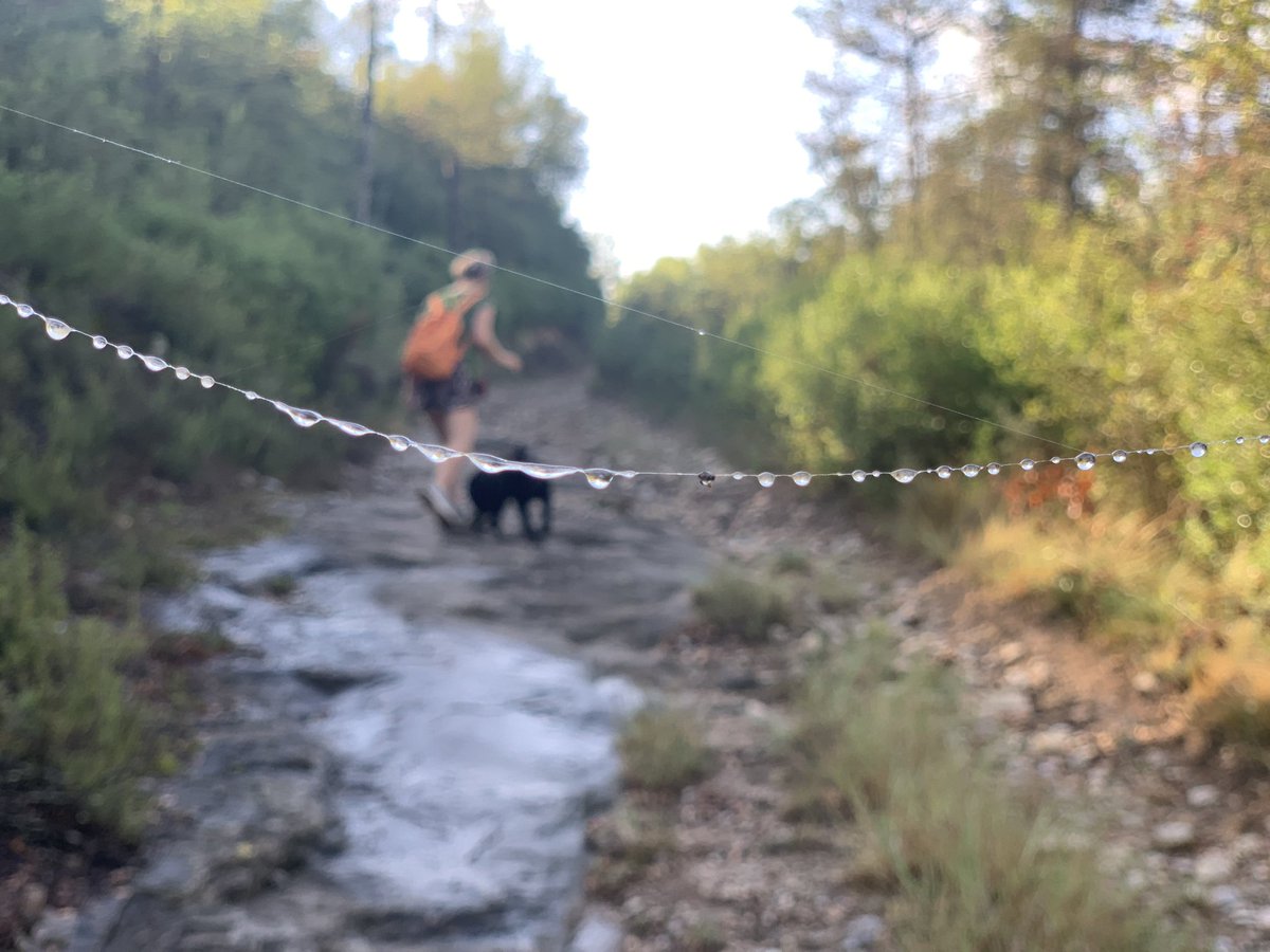 marti_cardus's tweet photo. Passejant entre les colònies al voltant del Llobregat, Gironella https://t.co/RDNEtOPe9y