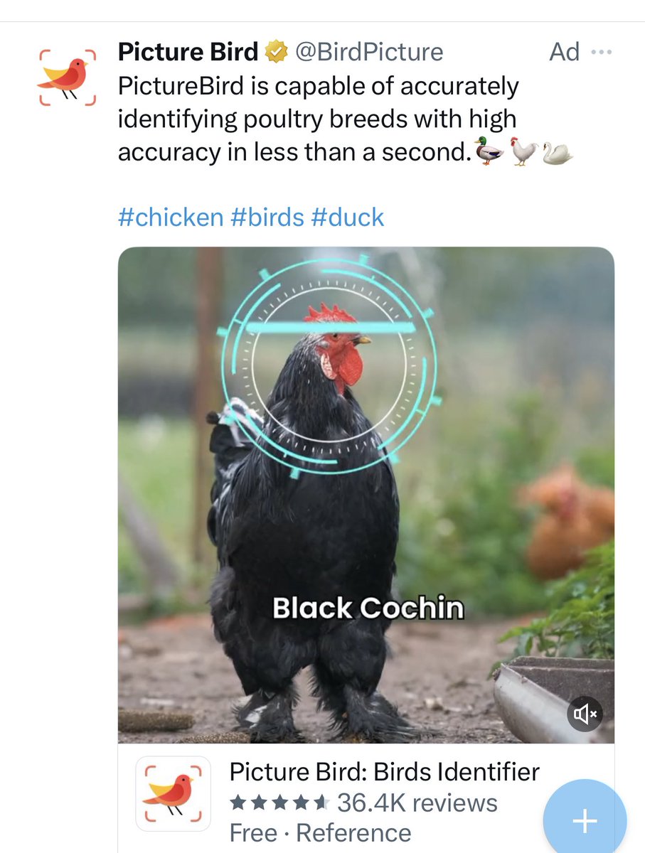 nodata4u's tweet photo. The Ai advertising robot thinks that I’m a guy who’s interested in chicken robots. https://t.co/ppmZNnDXrO