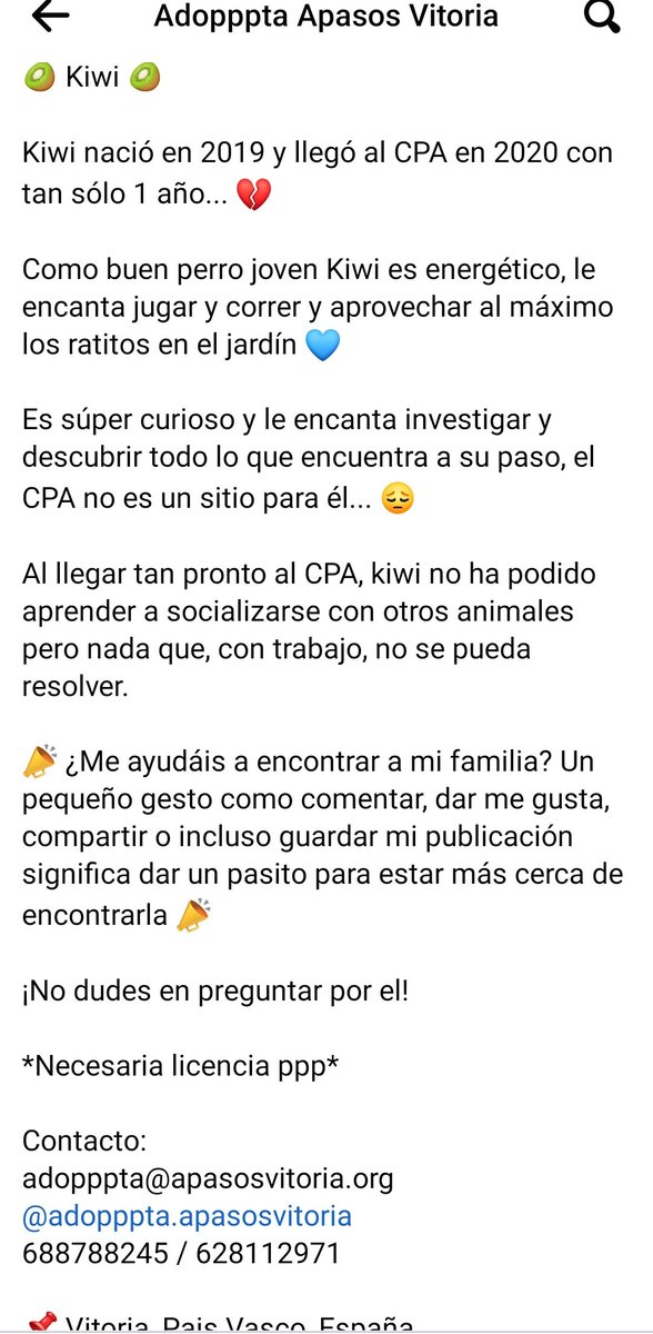 YolandaC4's tweet photo. #adopta https://t.co/THaYLHqaKI