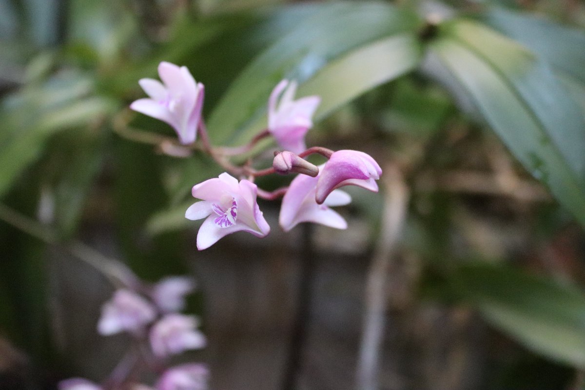 Beautiful Australia 🇦🇺 (@oz_escapes) on Twitter photo 