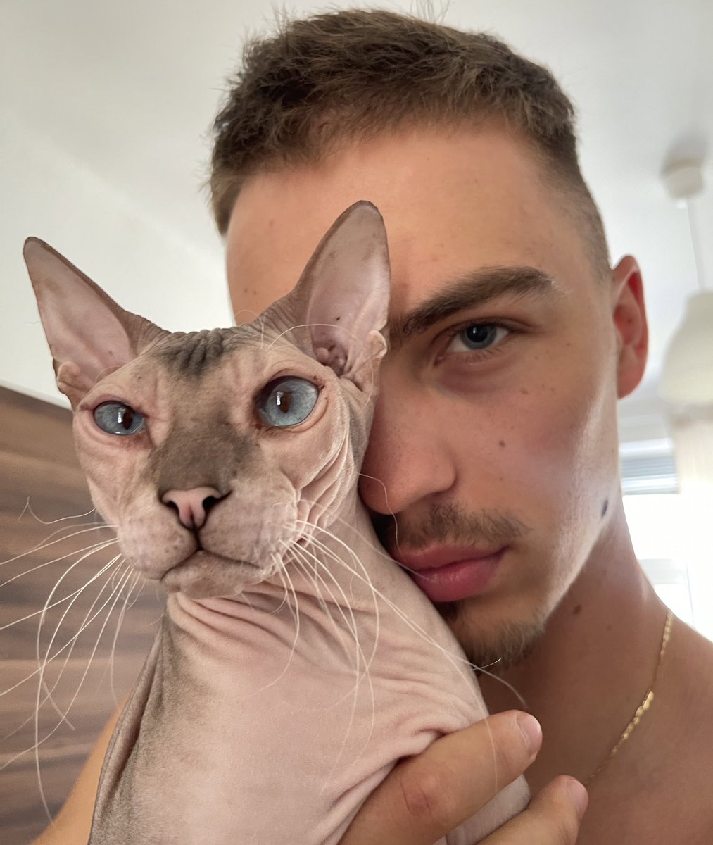 Vojtěch Dostál tweet media