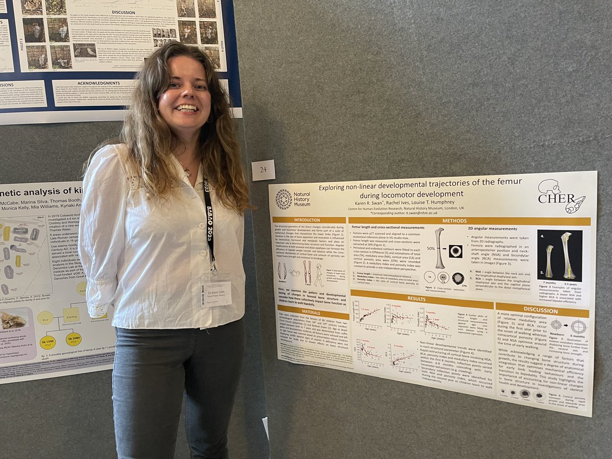 NHM_Anthro's tweet image. Day 2 of #BABAO2023. Karen Swan, Rachel Ives and Louise Humphrey have a poster on ‘Exploring non-linear developmental trajectories of the femur during locomotor development’. Karen and Rachel are at the meeting so so stop for a chat!