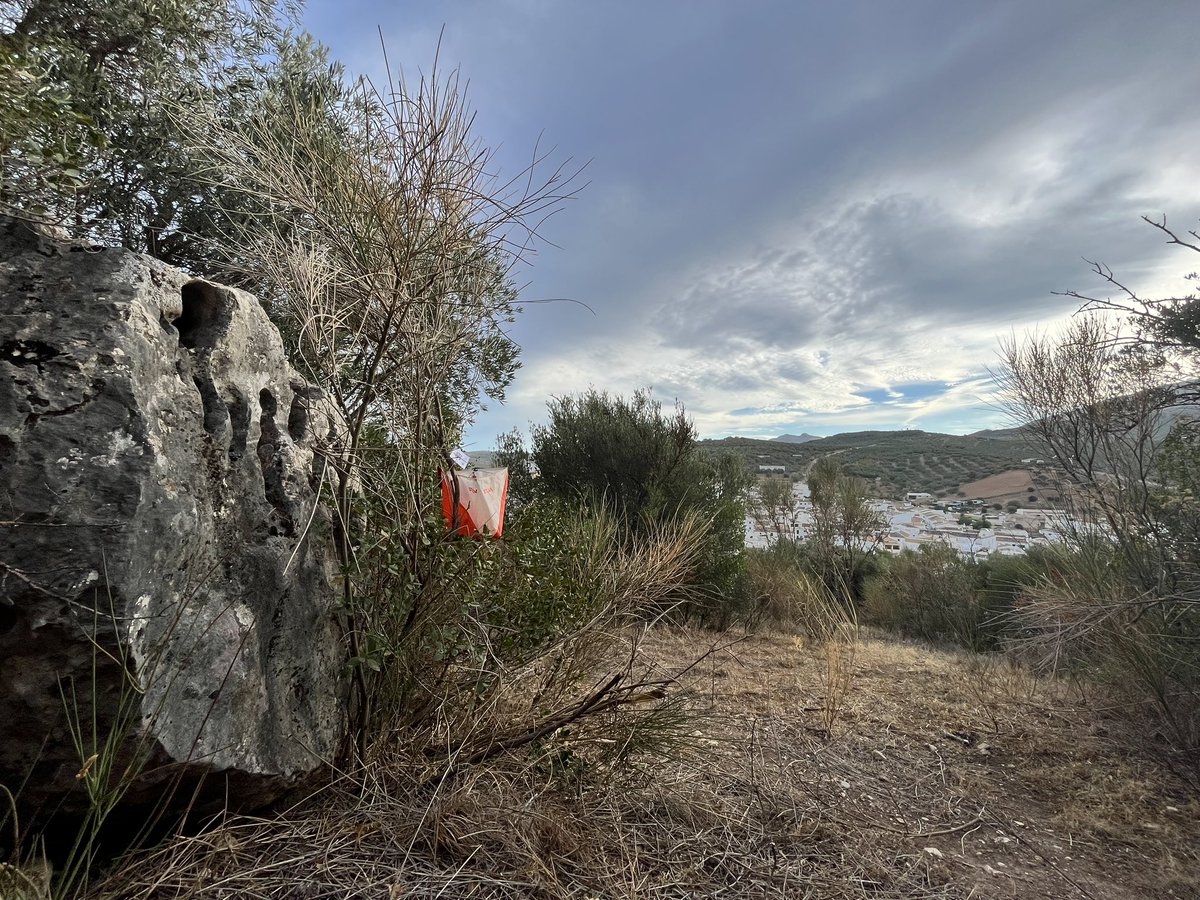 Clubcoma's tweet photo. Todo preparado para 9a prueba del XXII Circuito Provincial de #Orientación que organiza @diputacionMLG y @WEBFADO hoy en @VVdelRosario 

Una media distancia mixta urbana y campo/monte les espera a los más de 100 inscritos 

Fotos, resultados y más info en
https://t.co/rweN35KYh8 https://t.co/RcropUlbdJ