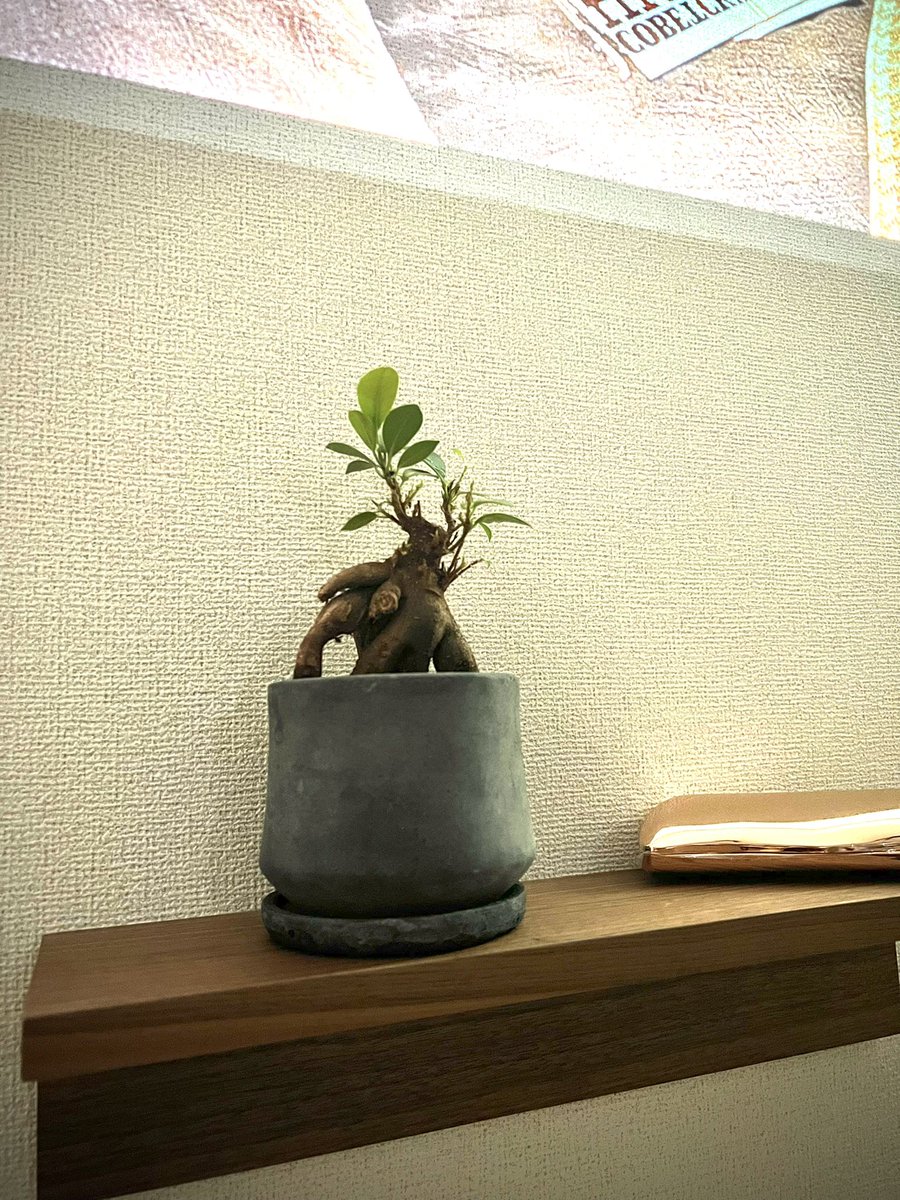 ketchu_ke's tweet photo. ようこそ、我が家へ https://t.co/K8uuiMK7Ra
