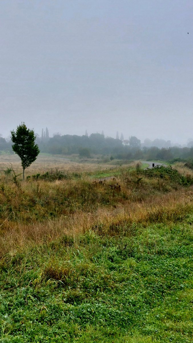 A misty, autumnal start to the day.

And (finally!) a farewell to this app. Thank you for the beauty and kindness in this little corner of it - please try to keep both alive, if not here then elsewhere.