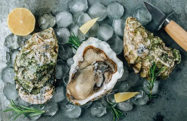 Une dégustation d'huîtres pendant l'été !
😍 😍 😍 

#huitres #barahuitres #monbarahuitres #agay #saintraphael #cotedazur #MySaintRaphael #mer #mediterannee #vacances #sejour #VisitEsterel #SouthOfFrance #CoteDazurNow