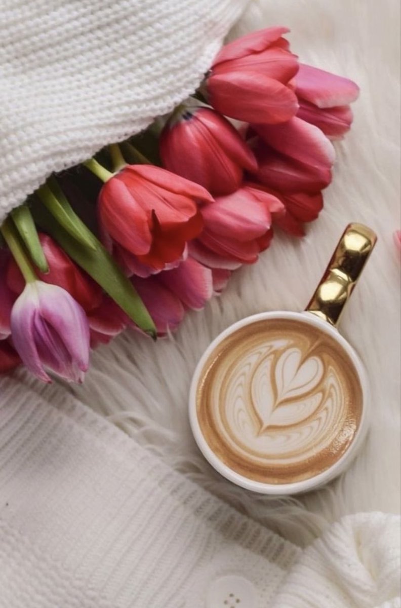 SSalahmdy1's tweet photo. كالورد نحن على قدر الإهتمام نزهر 🌸♡. https://t.co/7kCy3bGHbI