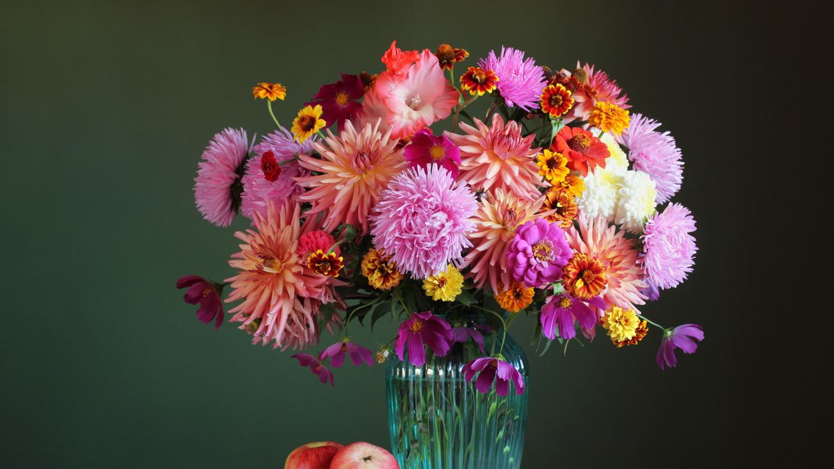 homesandgardens's tweet photo. How to choose the right vase for your cut flowers – expert florists share their secrets https://t.co/l2AfMO9VPn https://t.co/3e4Uw9NHiN