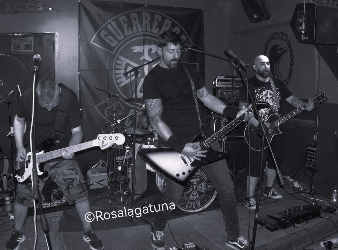 Four Noses tweet media