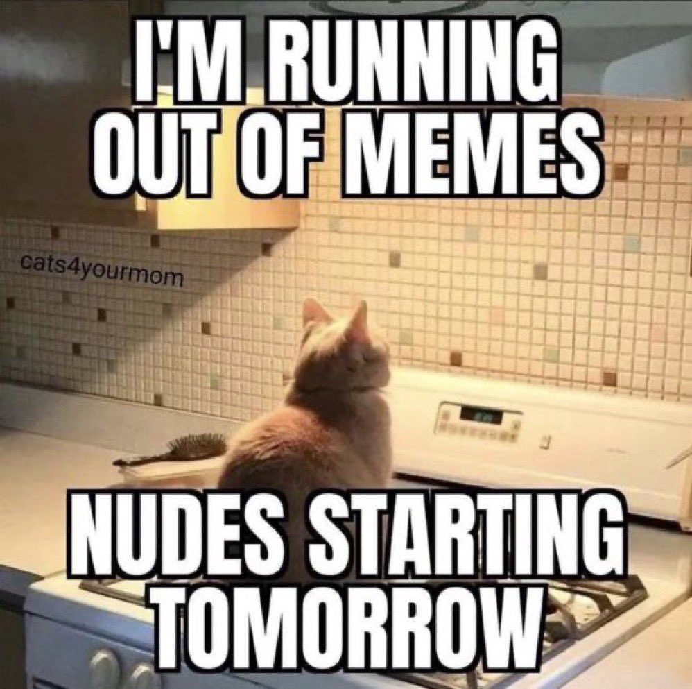 Make cats great again !
$MASYA 
<a href="/VitalikButerin/">vitalik.eth</a> <a href="/elonmusk/">Elon Musk</a>