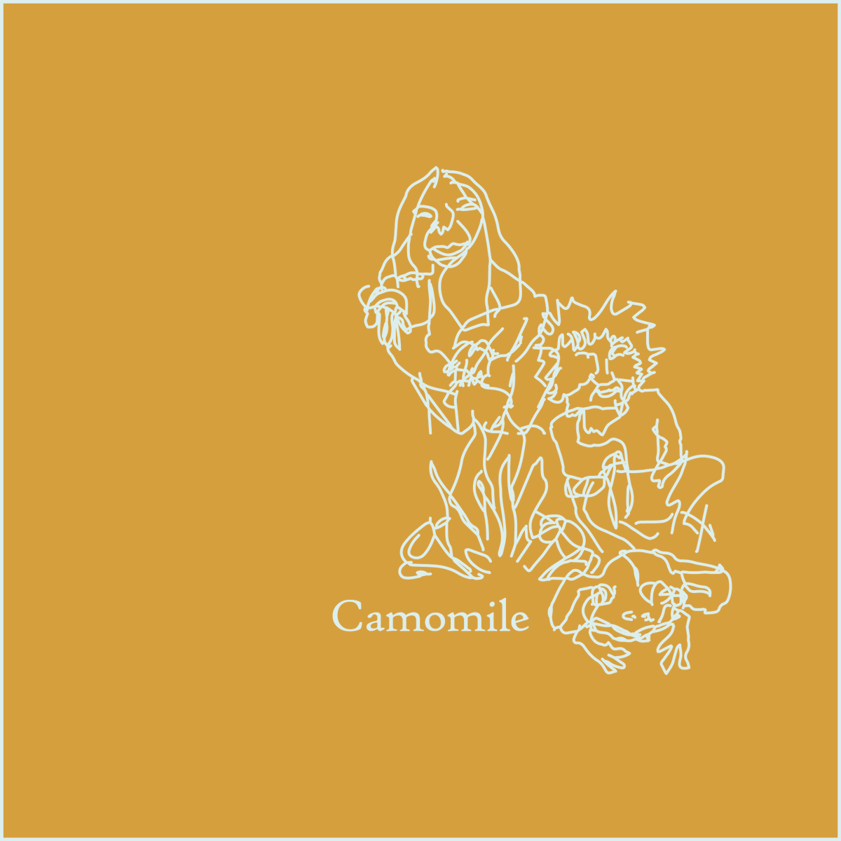 'Camomile' is out on all streaming platforms now!

open.spotify.com/album/1u2DffiR…