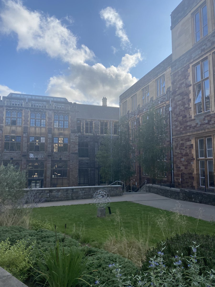 Lauren McGuinness tweet media