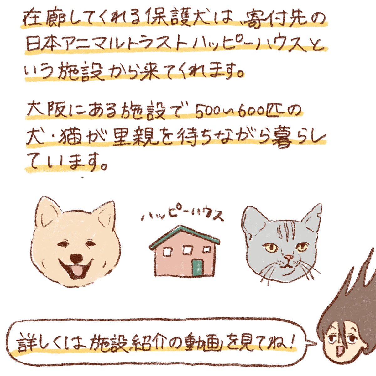 🐕🐈✨ 