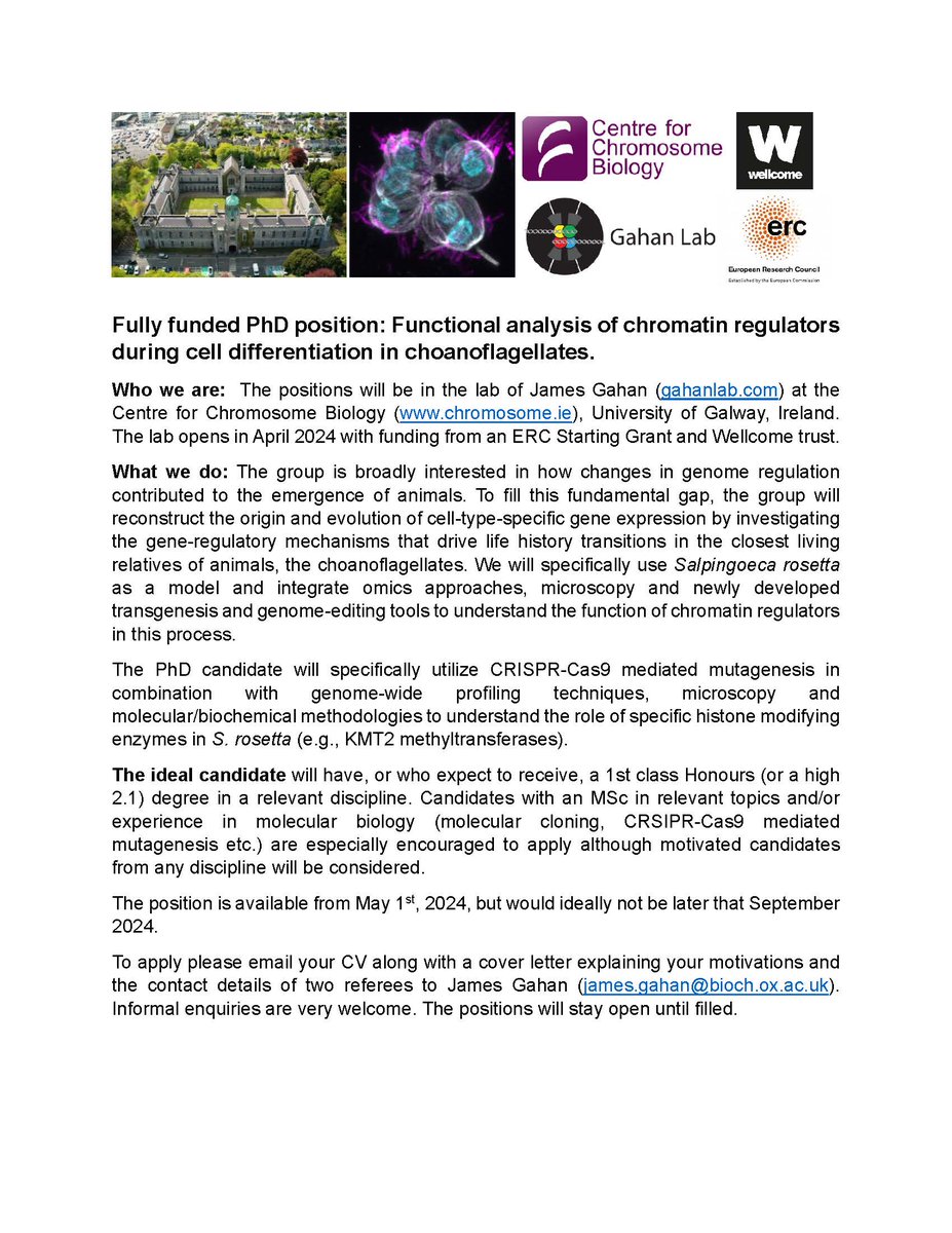 Fully funded PhD position: Funtional analysis of chromatin regulators during cell differentiation in choanoflagellates.

All needed info is in the image below.
<a href="/FS_Yusuf_/">FS Yusuf</a> <a href="/olumuyiwaayo/">Olumuyiwa Igbalajobi, Ph.D</a> <a href="/Ijesha_canadian/">Adé Adey</a> <a href="/MissPearls/">Pearls</a> <a href="/AishaYesufu/">Aisha Yesufu</a> <a href="/aproko_doctor/">Dr. Chinonso Egemba</a>