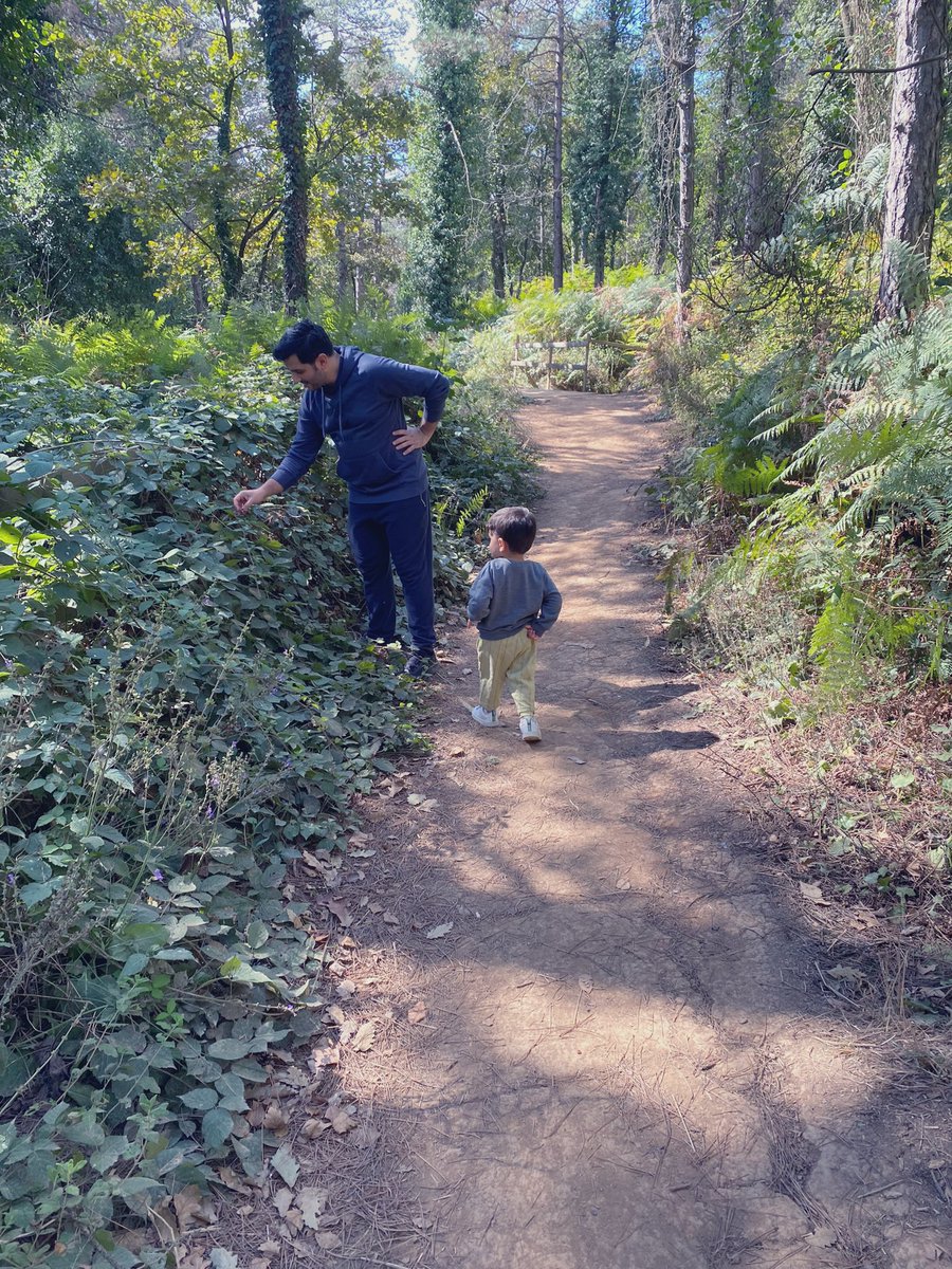Büyük ormancı - küçük ormancı 👨🏻‍🌾👨🏻‍🌾