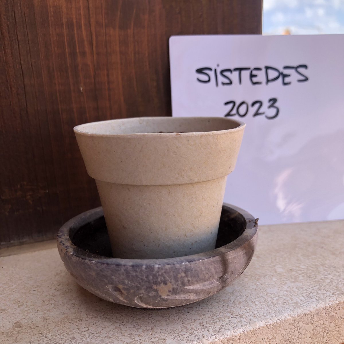 LauraPanizo's tweet image. Esto ya está listo! Crucemos los dedos para que salga tan bien como #SISTEDES2023. Muchas gracias por todo @JornadaSistedes