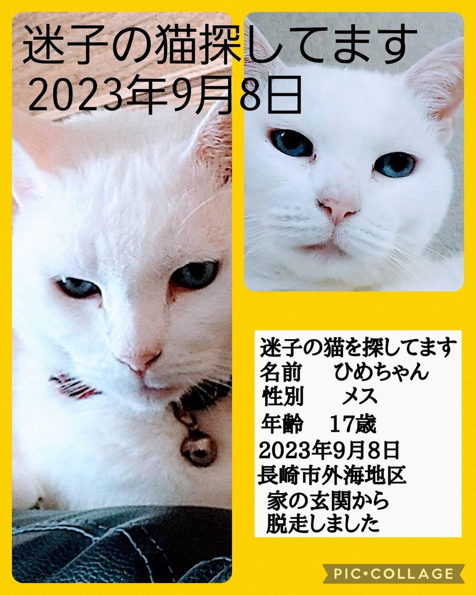 kurochan_5110's tweet photo. https://t.co/12sV98IEjx