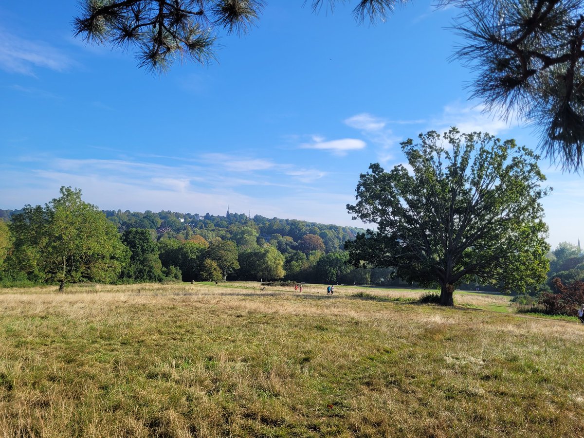 Rich0B's tweet photo. Stunning morning on the Heath https://t.co/7495vWFUK3