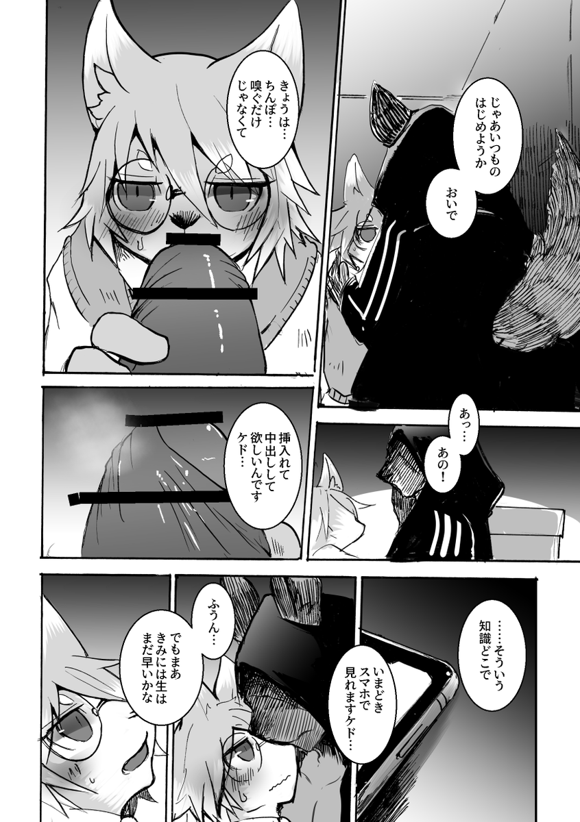 (13/17) 