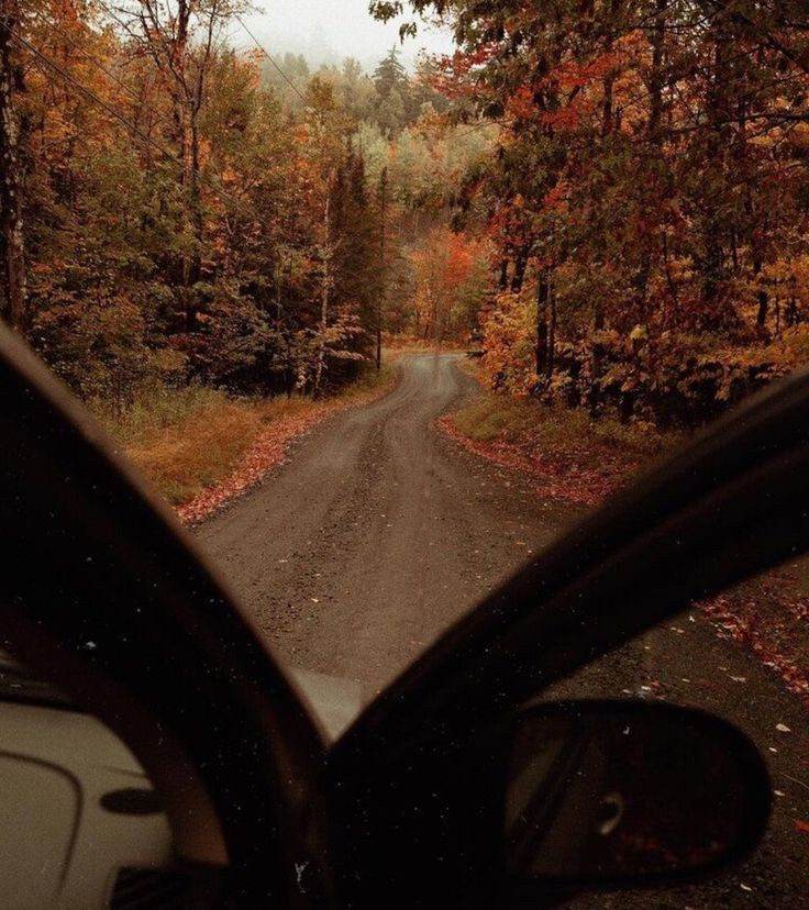 youngnorthwind's tweet photo. Wake me up when September ends. https://t.co/4MU1gTyKHi