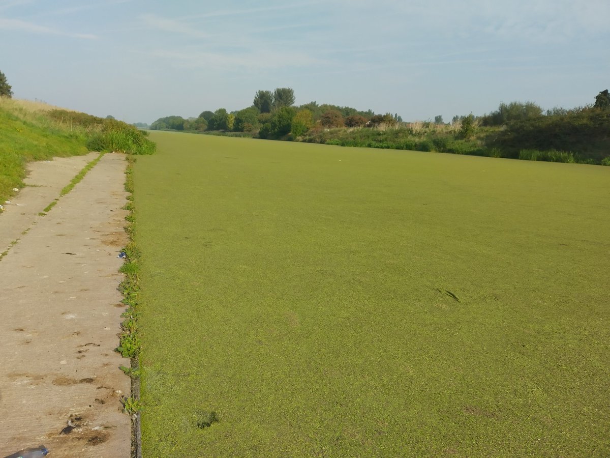 Boston Rowing Club tweet media