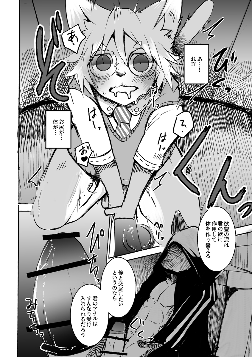 (13/17) 