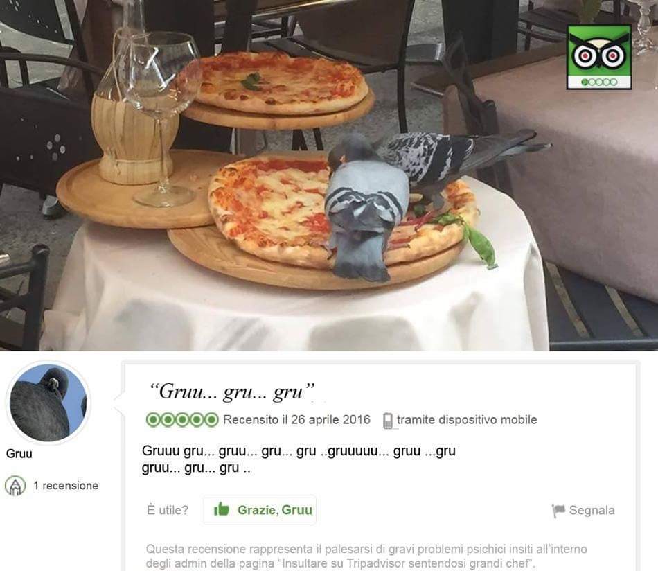 Creo que esta es la mejor valoración que he leído en TripAdvisor 🤣🤣🤣