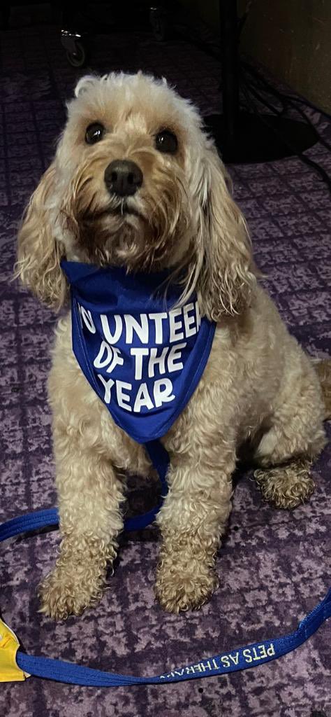 Daisy Dog tweet media