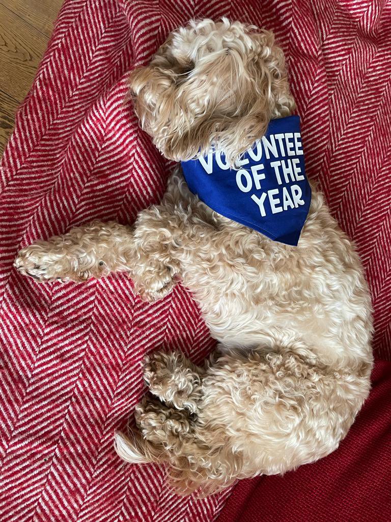 Daisy Dog tweet media