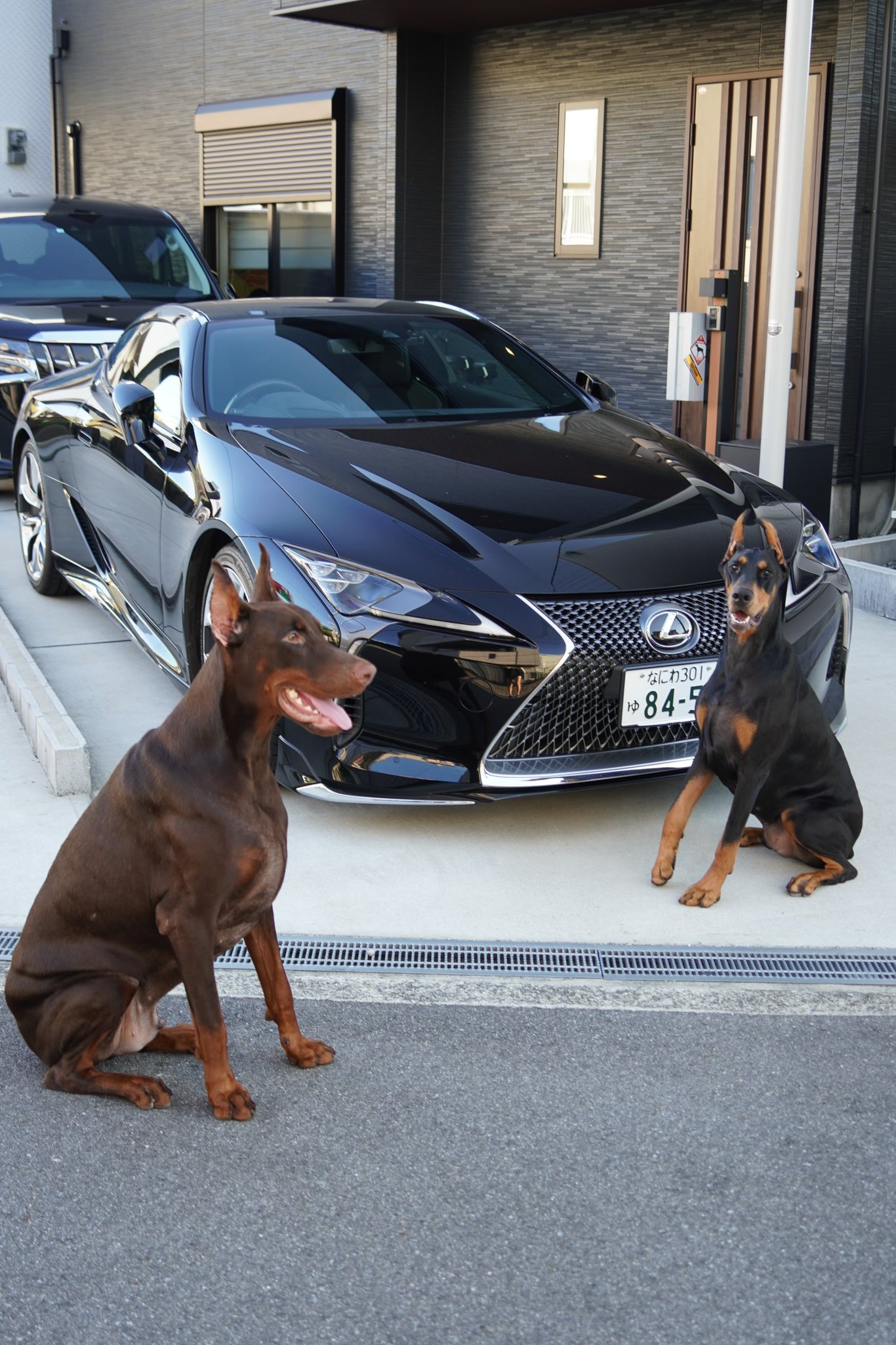 英国車　のっち様限定 NEW 1/64 頭文字D セットVol.22 藤原拓海トレノ(AE86) & 藤原